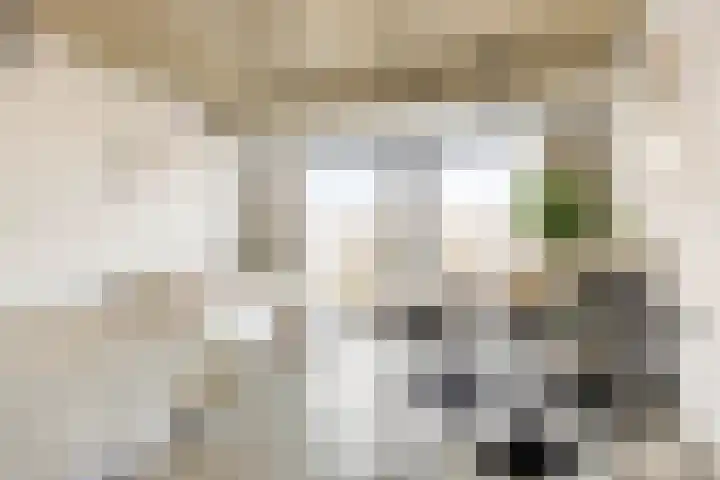 Schubertsingel 39 's-Hertogenbosch thumbnail 4