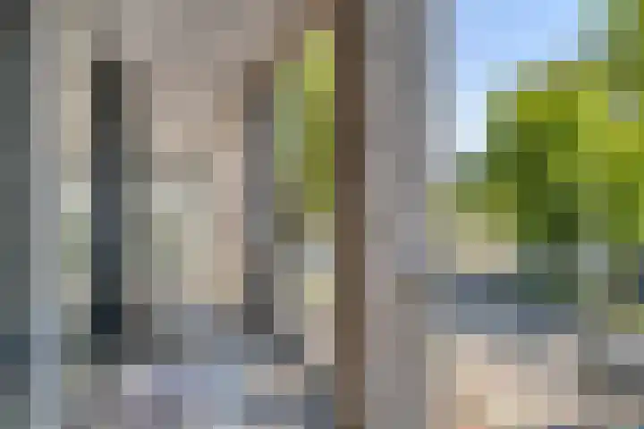 Schubertsingel 57 's-Hertogenbosch thumbnail 11
