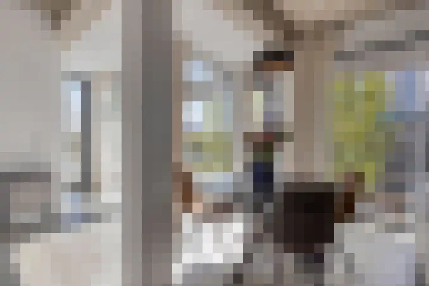 Schubertsingel 58 's-Hertogenbosch thumbnail 15