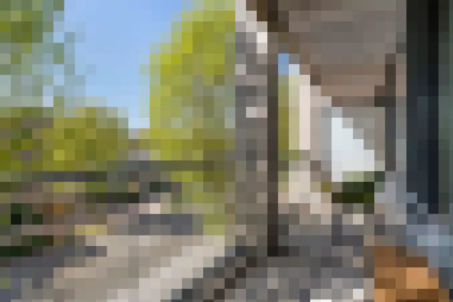 Schubertsingel 58 's-Hertogenbosch thumbnail 18