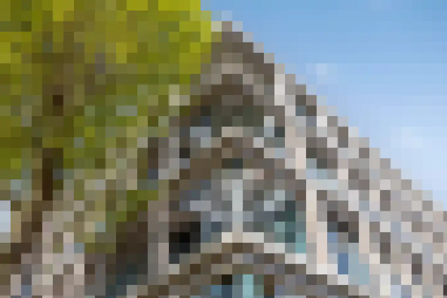 Schubertsingel 58 's-Hertogenbosch thumbnail 37