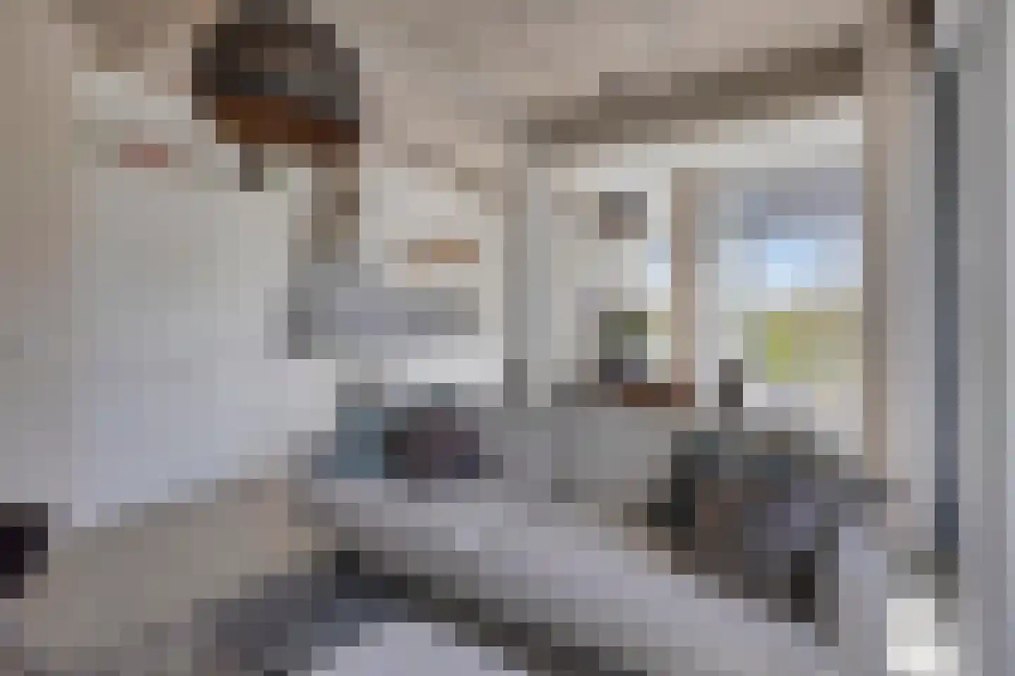 Schubertsingel 58 's-Hertogenbosch thumbnail 9