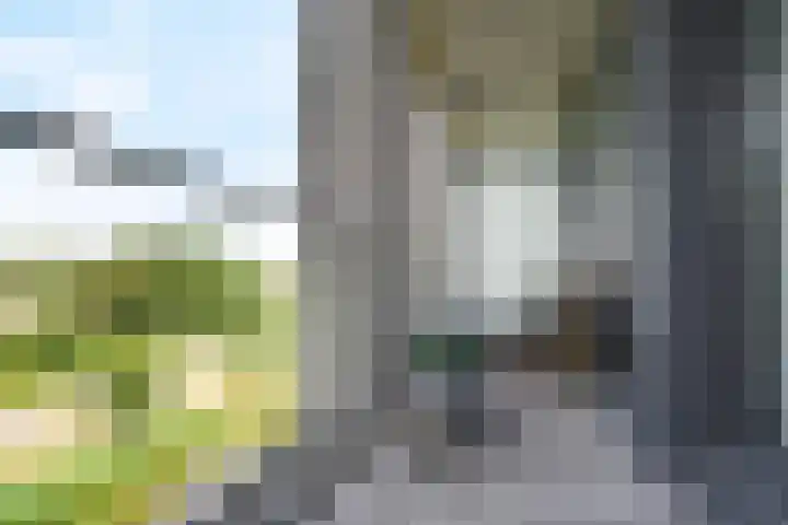 Schubertsingel 72 's-Hertogenbosch thumbnail 11
