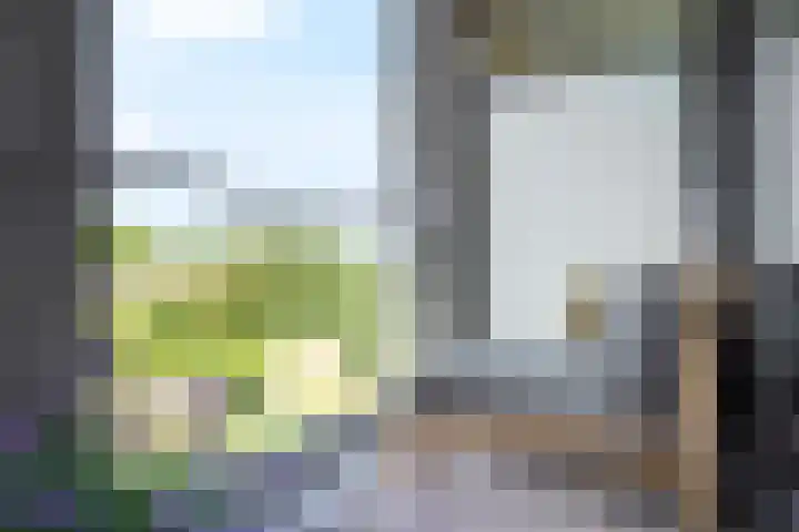 Schubertsingel 72 's-Hertogenbosch thumbnail 12