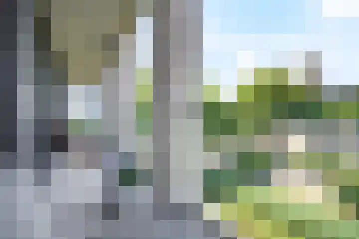 Schubertsingel 72 's-Hertogenbosch thumbnail 13