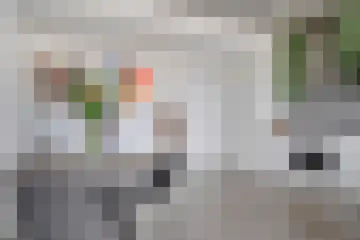 Schubertsingel 72 's-Hertogenbosch thumbnail 17