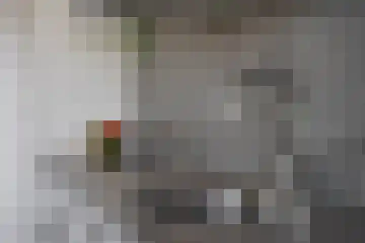 Schubertsingel 72 's-Hertogenbosch thumbnail 20