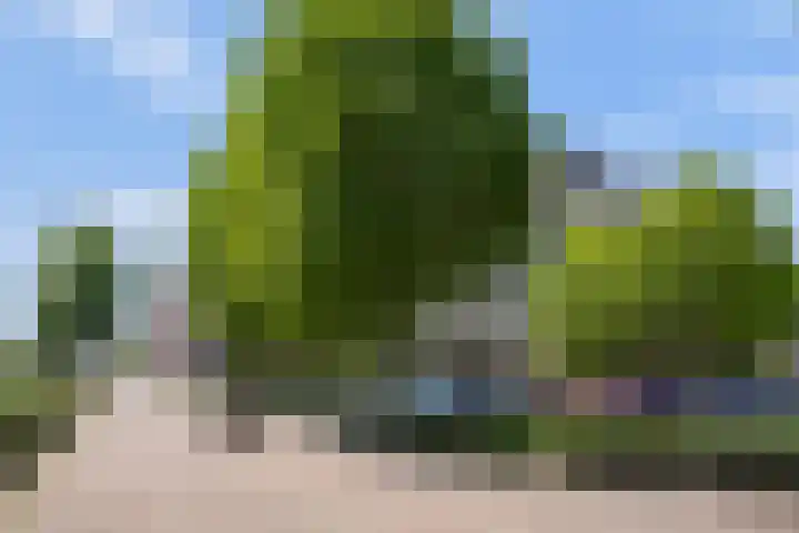Schubertsingel 72 's-Hertogenbosch thumbnail 36