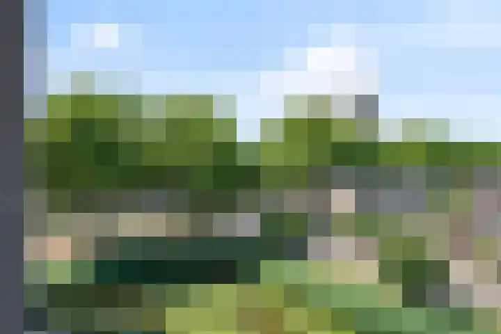 Schubertsingel 72 's-Hertogenbosch thumbnail 8