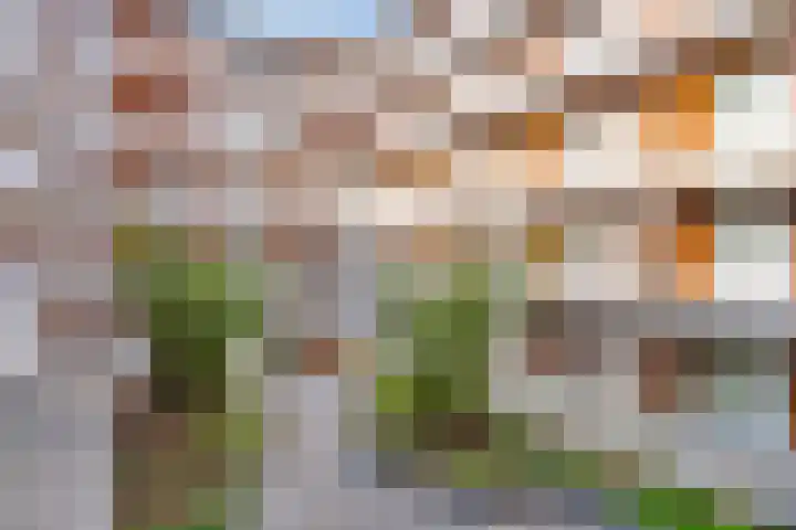 Schubertsingel 73 's-Hertogenbosch thumbnail 30