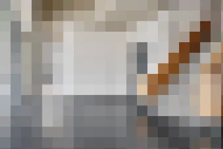 Schubertsingel 73 's-Hertogenbosch thumbnail 31