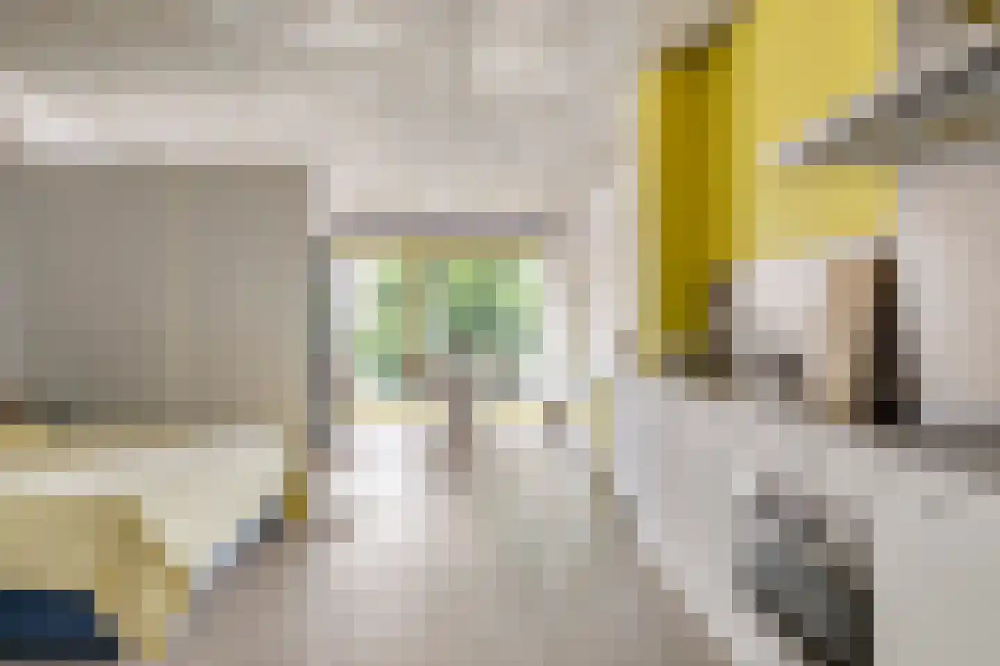 Schubertsingel 76 's-Hertogenbosch thumbnail 13