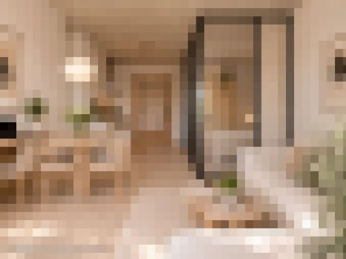 Schubertsingel 76 's-Hertogenbosch thumbnail 8