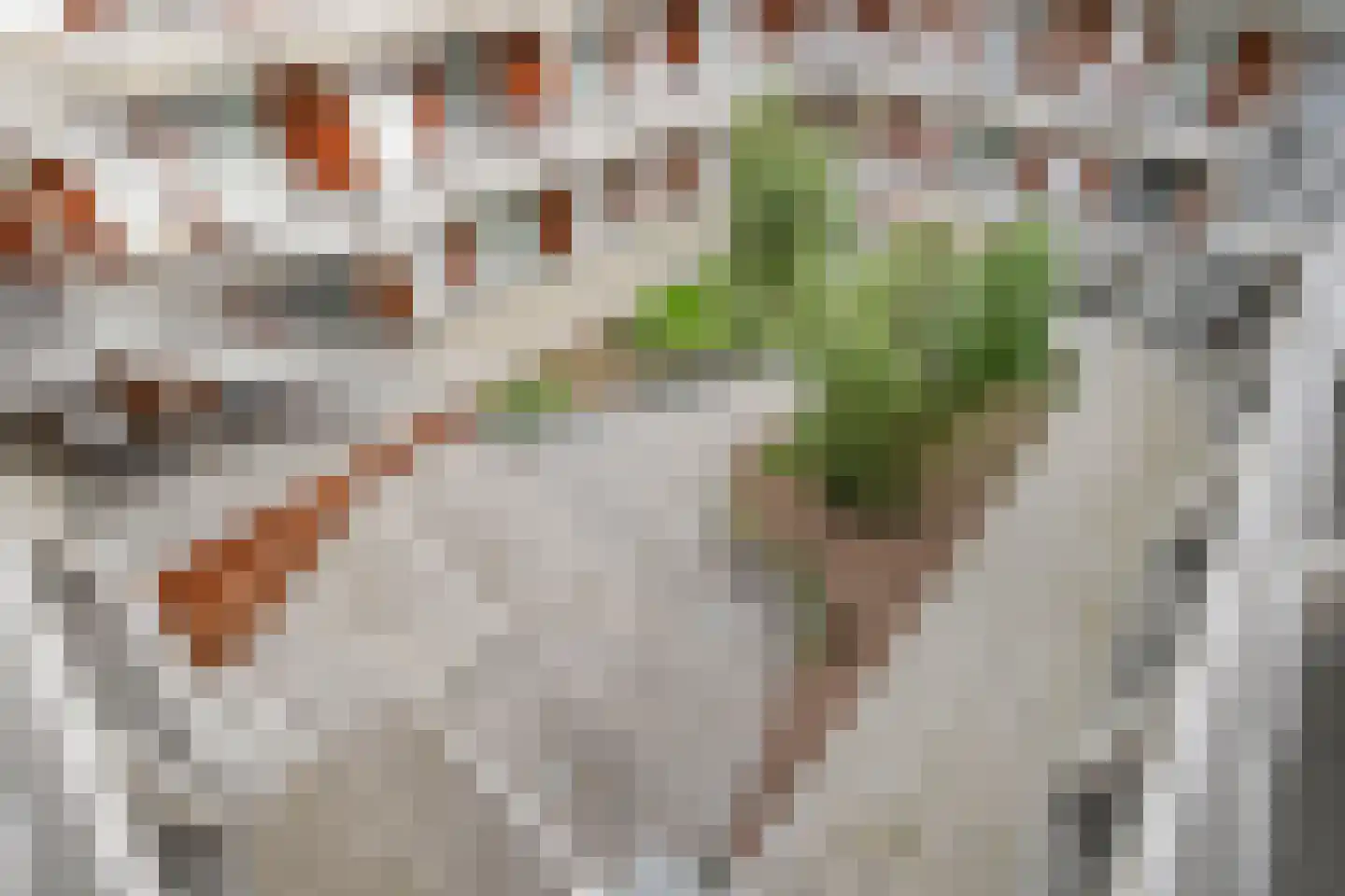 Schubertsingel 94 's-Hertogenbosch thumbnail 27