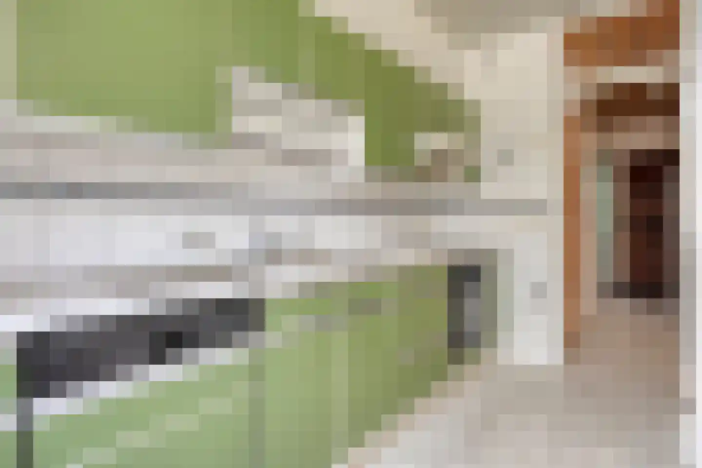 Schubertstraat 1 Naaldwijk thumbnail 7