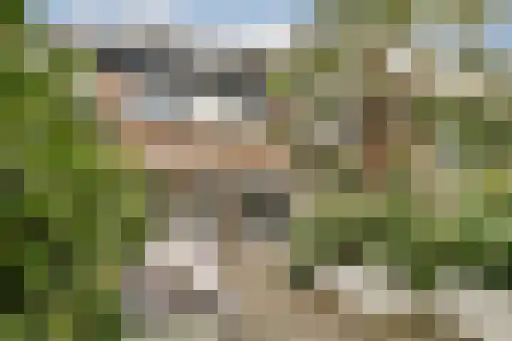 Schubertstraat 10 Rhoon thumbnail 22