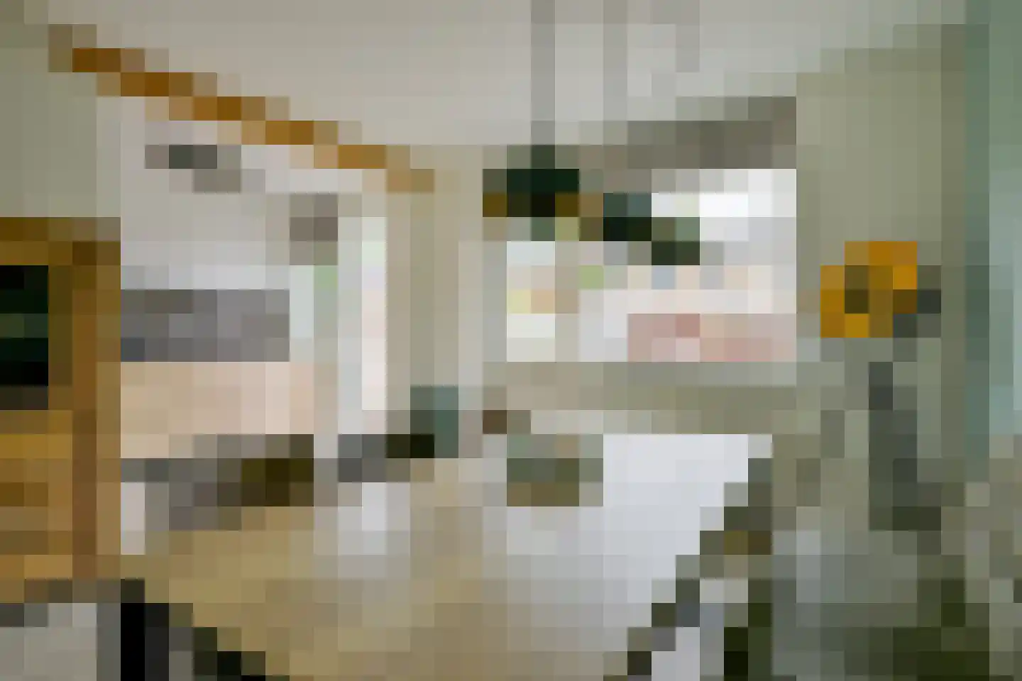 Schubertstraat 10 Schagen thumbnail 11