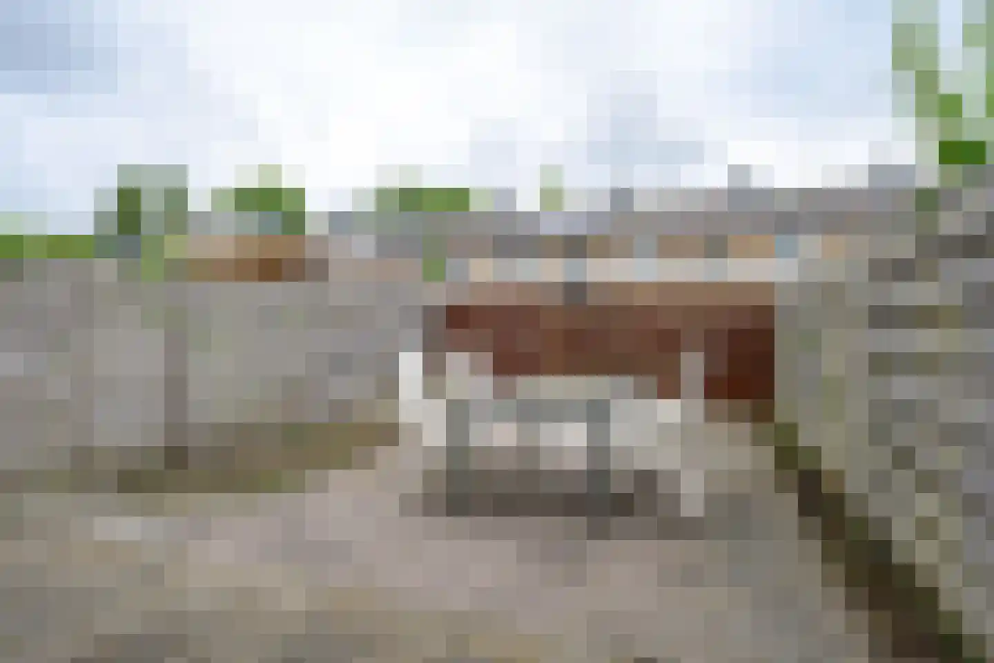 Schubertstraat 10 Schagen thumbnail 16