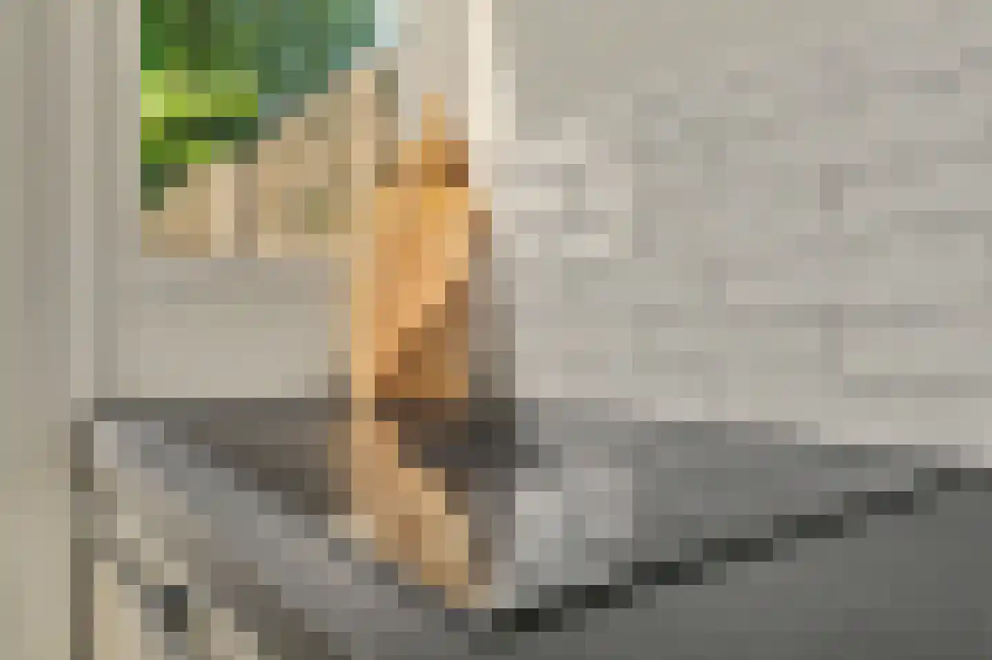 Schubertstraat 12 Drunen thumbnail 12