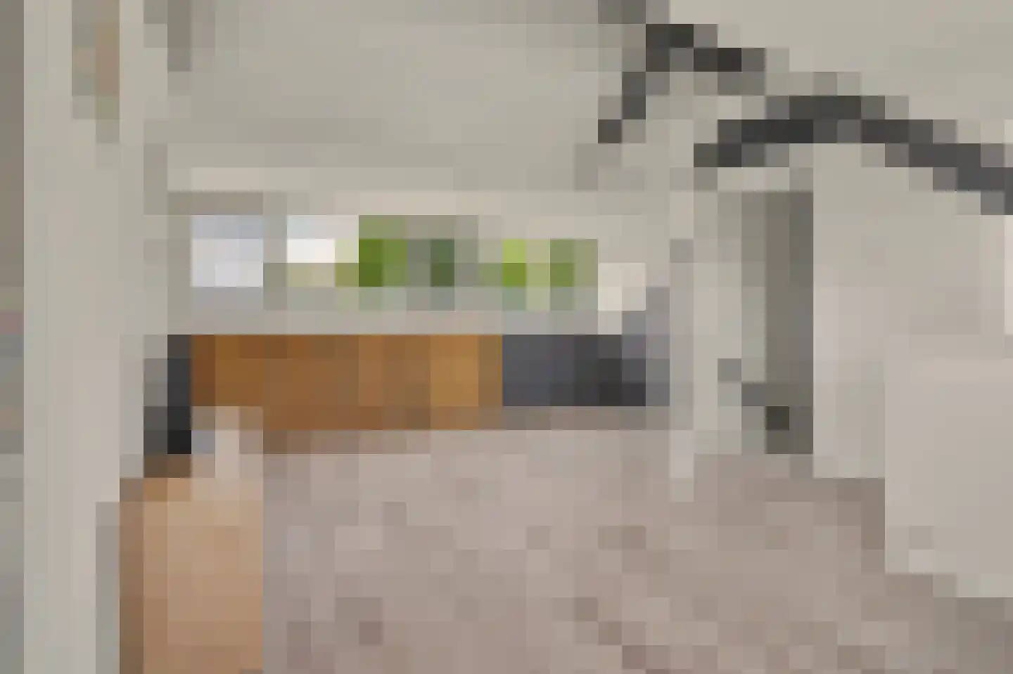 Schubertstraat 12 Drunen thumbnail 31