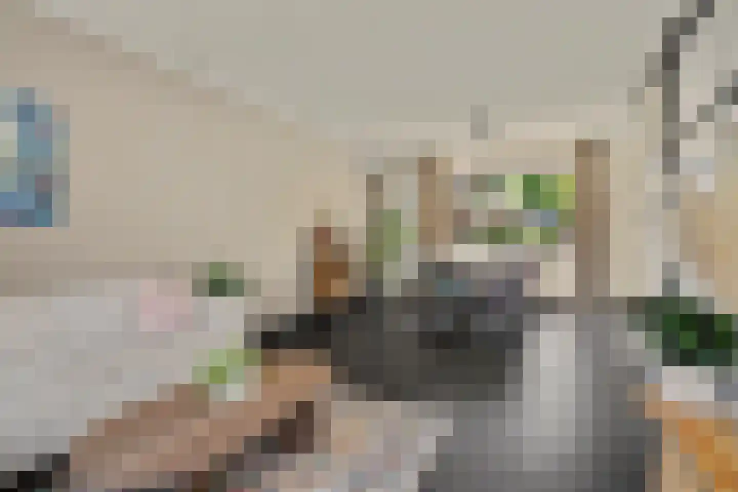 Schubertstraat 12 Drunen thumbnail 5