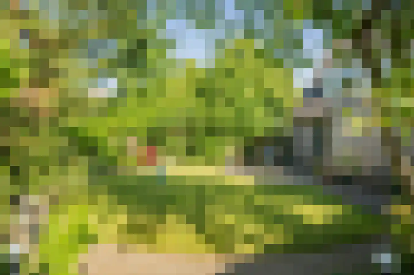 Schubertstraat 13 Twello thumbnail 31