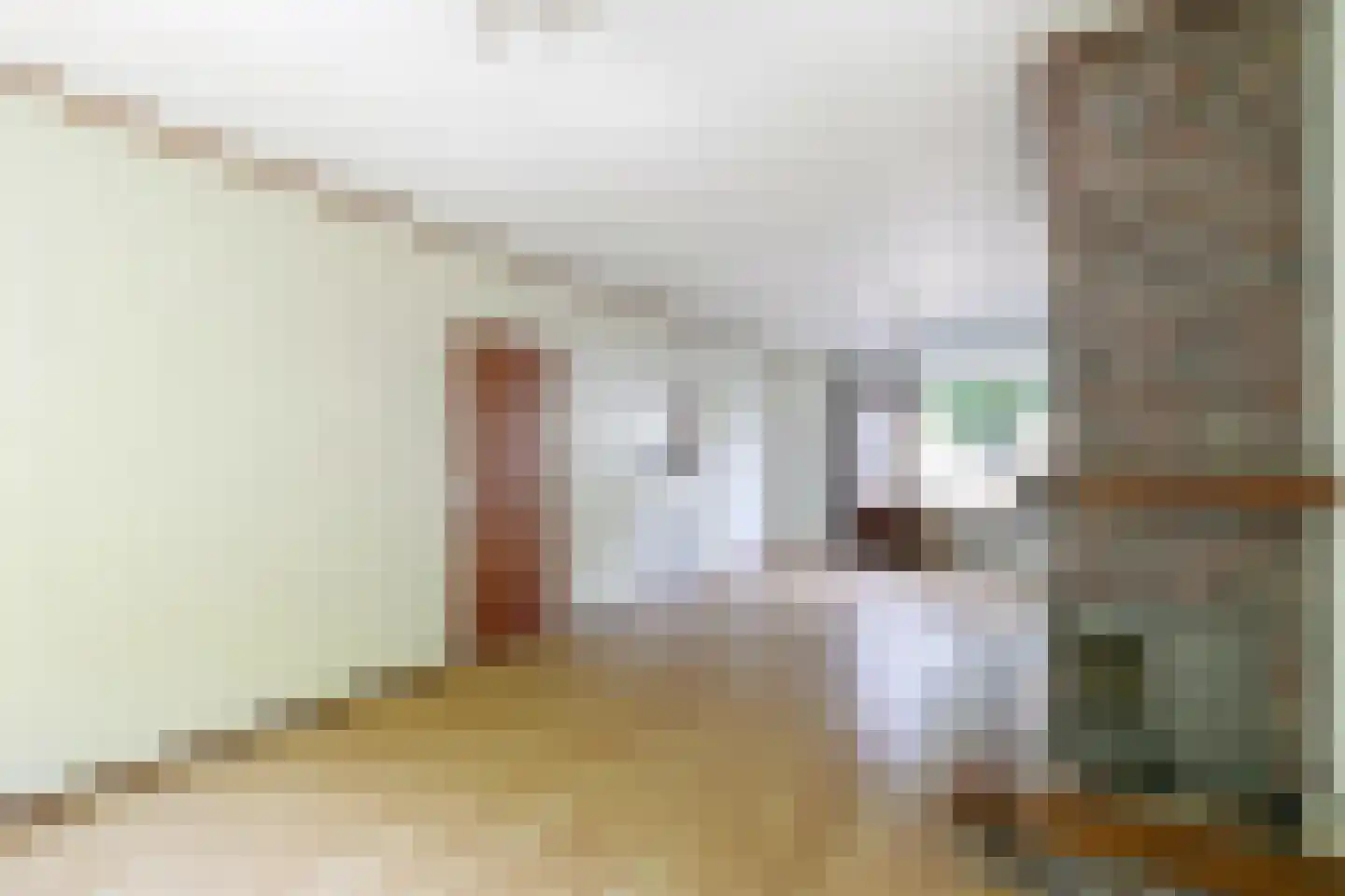 Schubertstraat 141 Tilburg thumbnail 12