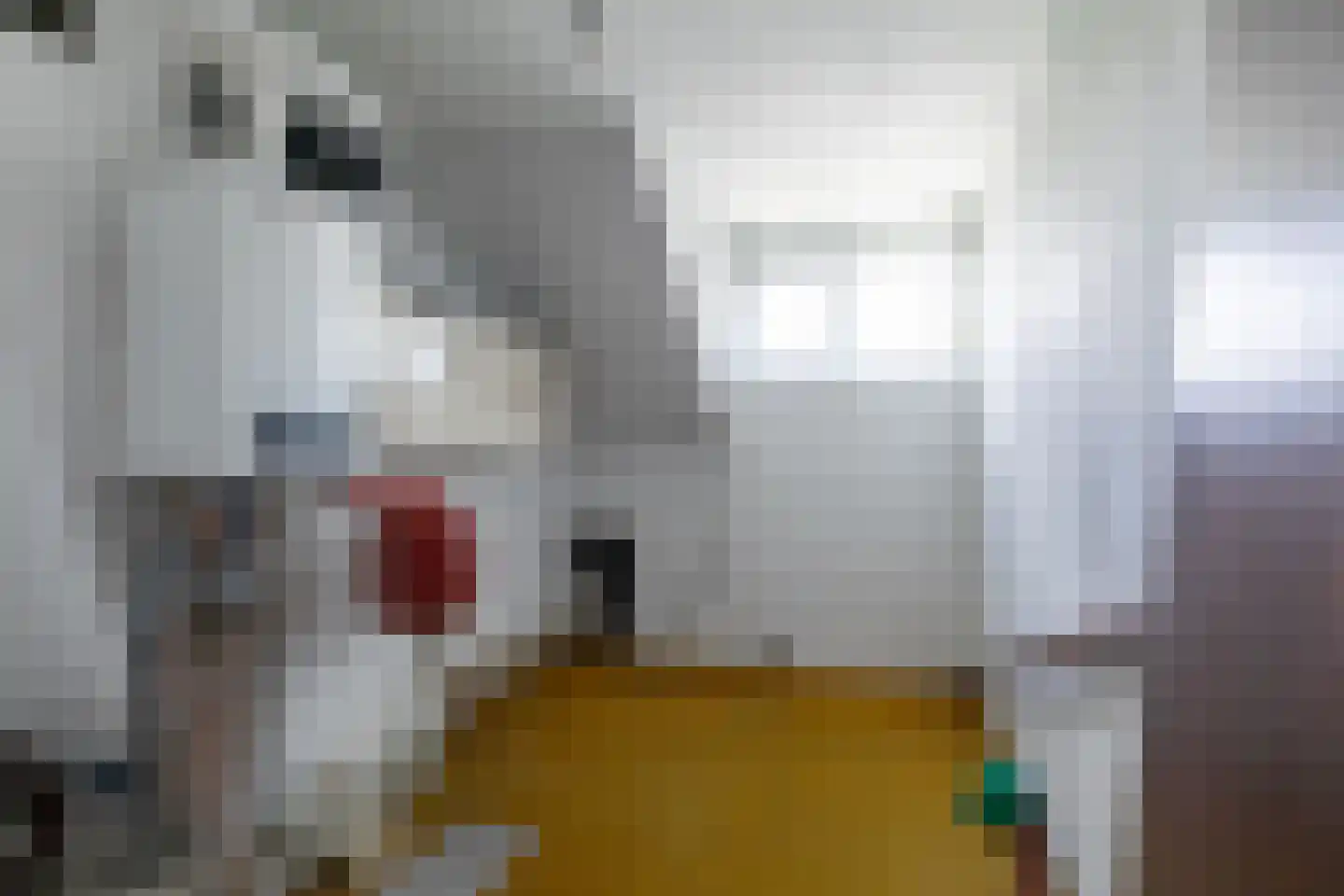 Schubertstraat 141 Tilburg thumbnail 33