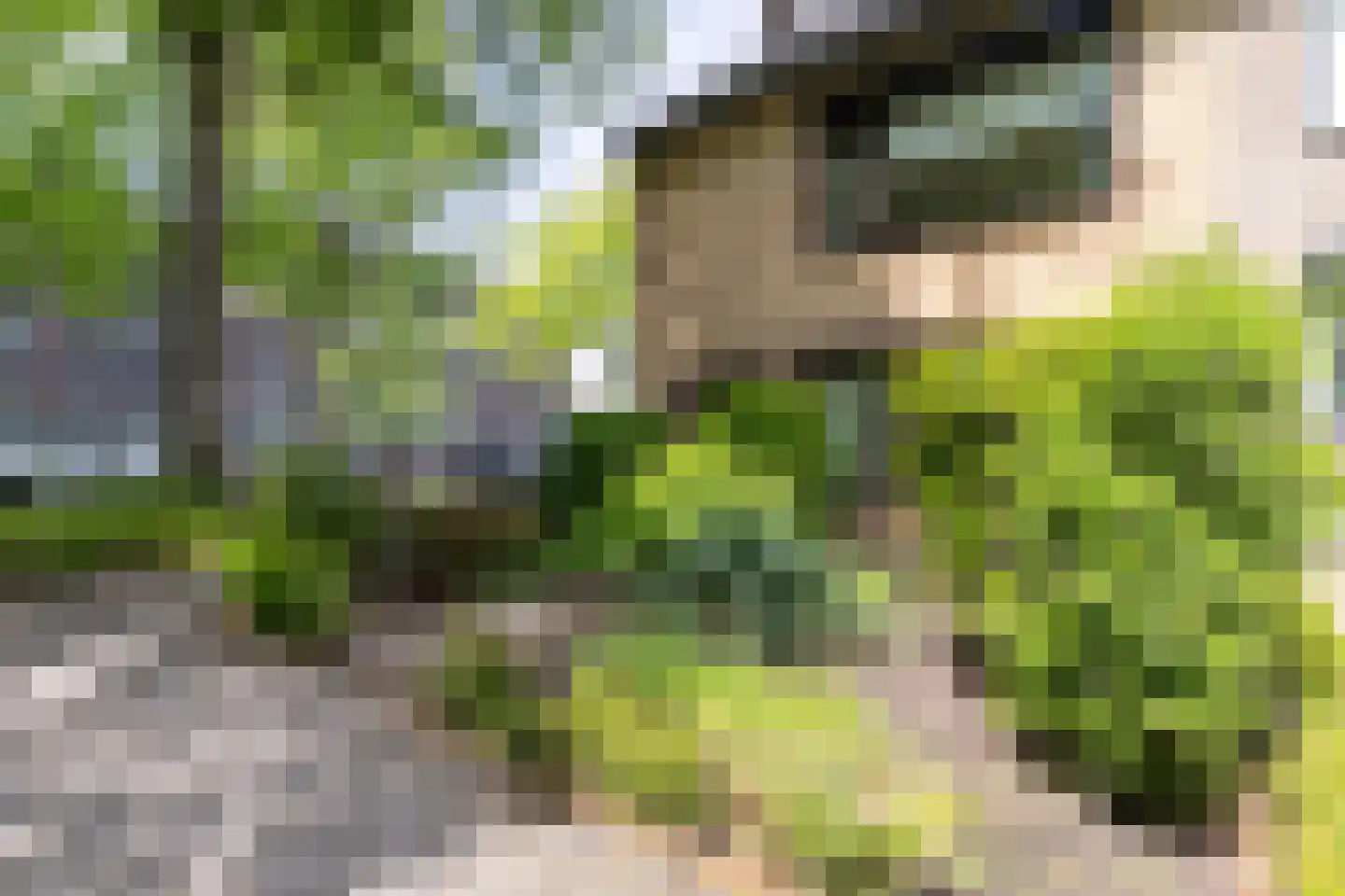 Schubertstraat 141 Tilburg thumbnail 4