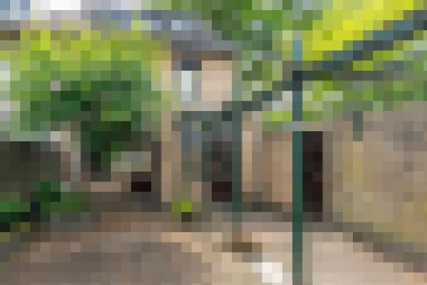 Schubertstraat 141 Tilburg thumbnail 41