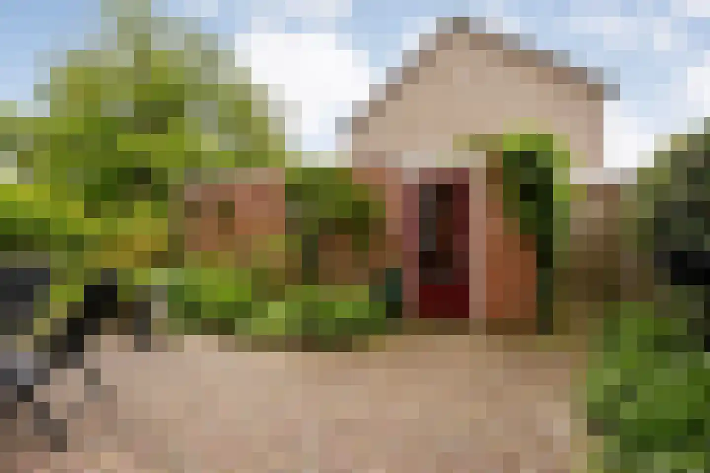 Schubertstraat 2 Almelo thumbnail 18