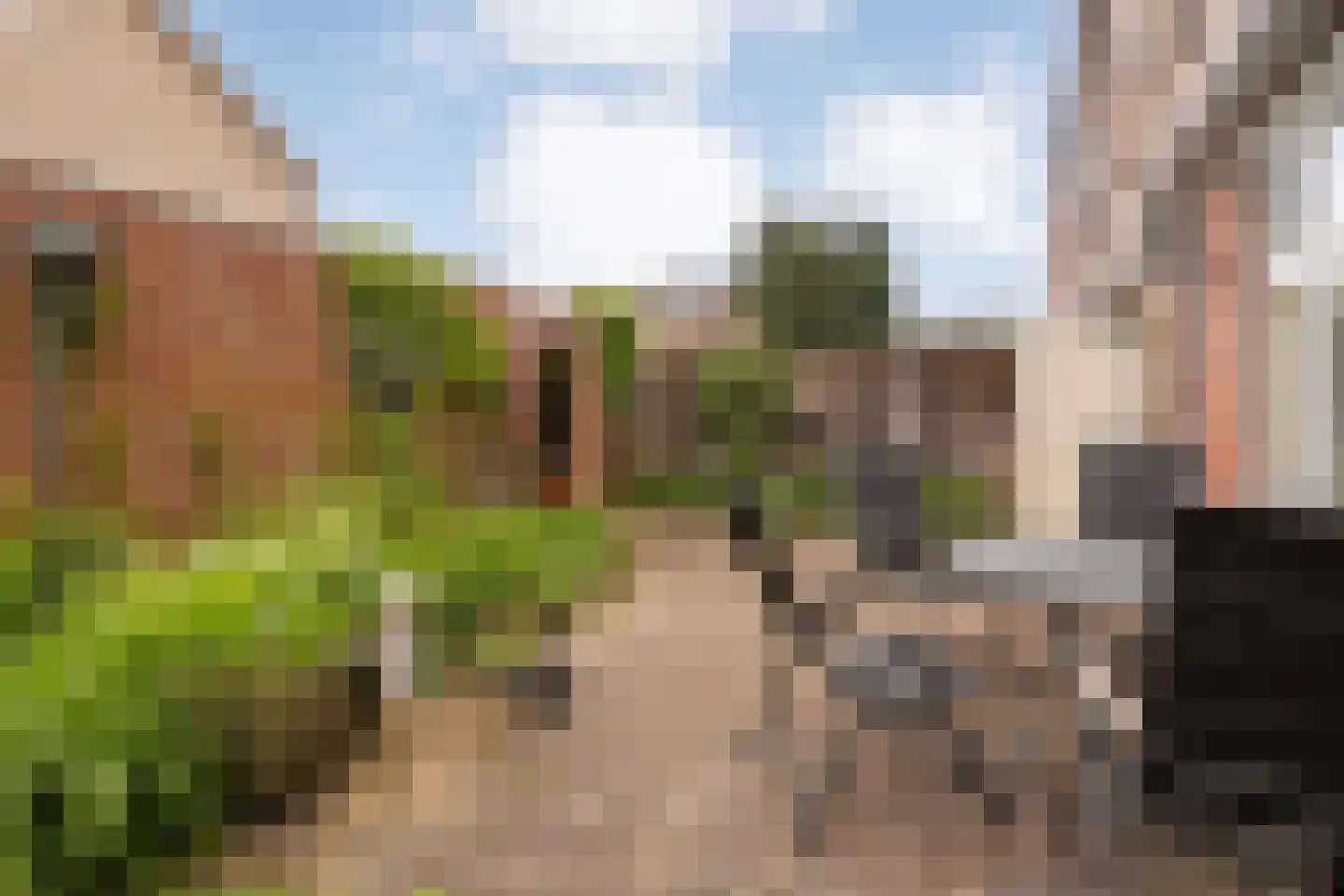 Schubertstraat 2 Almelo thumbnail 20