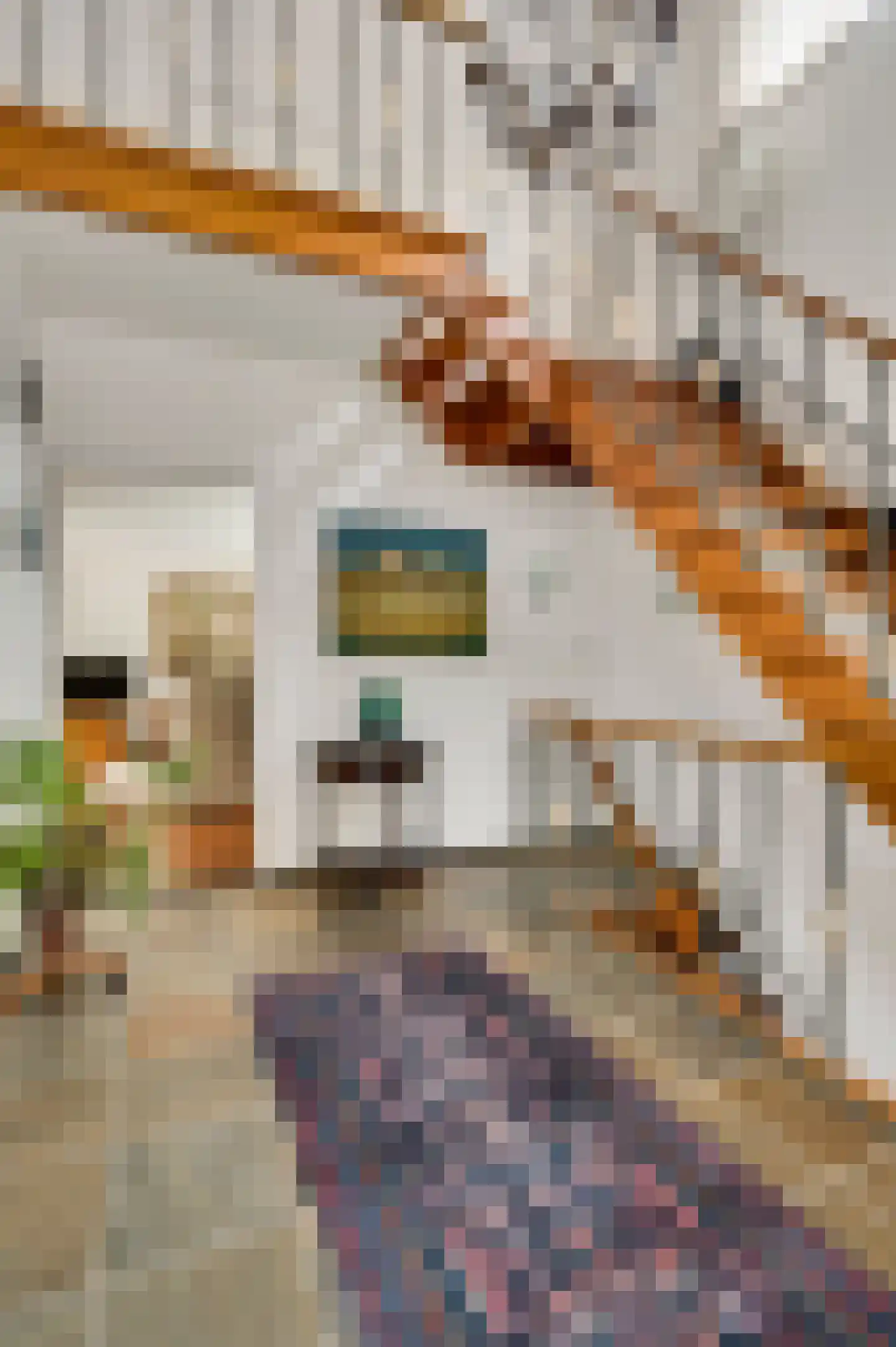 Schubertstraat 2 Geleen thumbnail 10