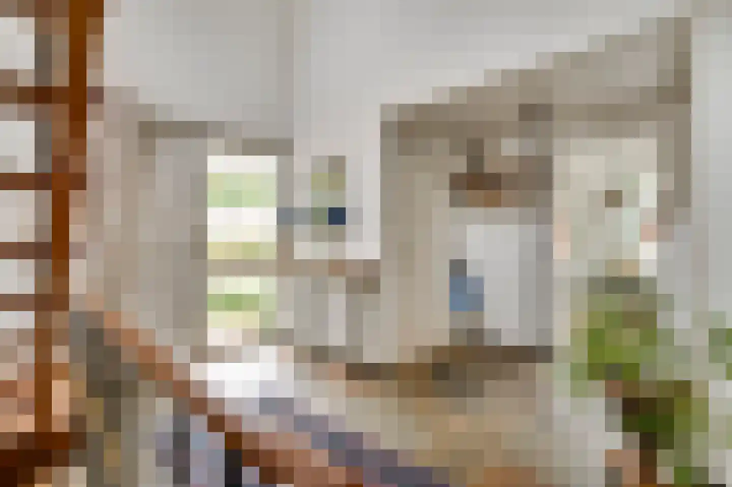Schubertstraat 2 Geleen thumbnail 8