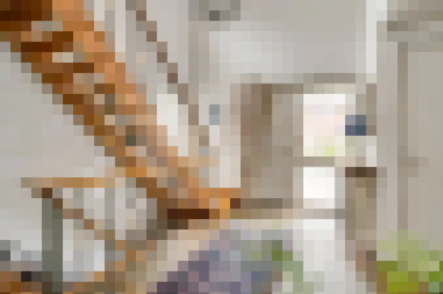 Schubertstraat 2 Geleen thumbnail 9