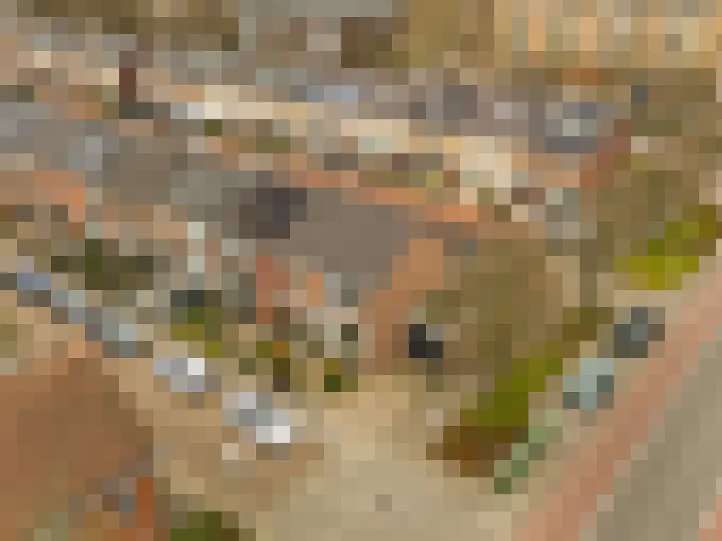 Schubertstraat 2 Heemskerk thumbnail 44