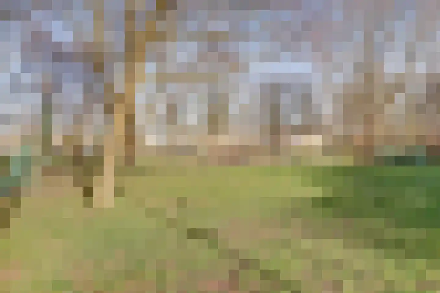 Schubertstraat 36 Nieuwegein thumbnail 33