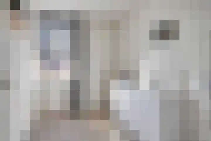 Schubertstraat 38 Drunen thumbnail 25