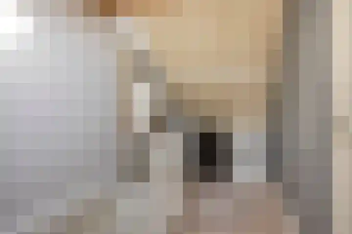 Schubertstraat 38 Drunen thumbnail 29