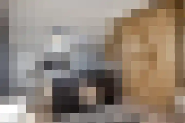 Schubertstraat 38 Drunen thumbnail 31