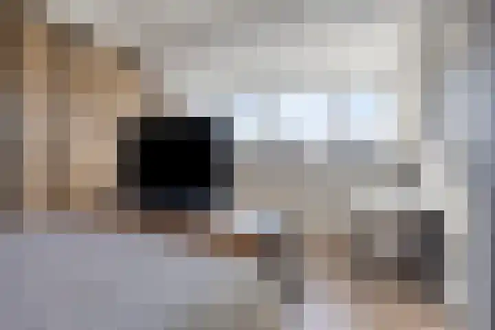 Schubertstraat 38 Drunen thumbnail 32