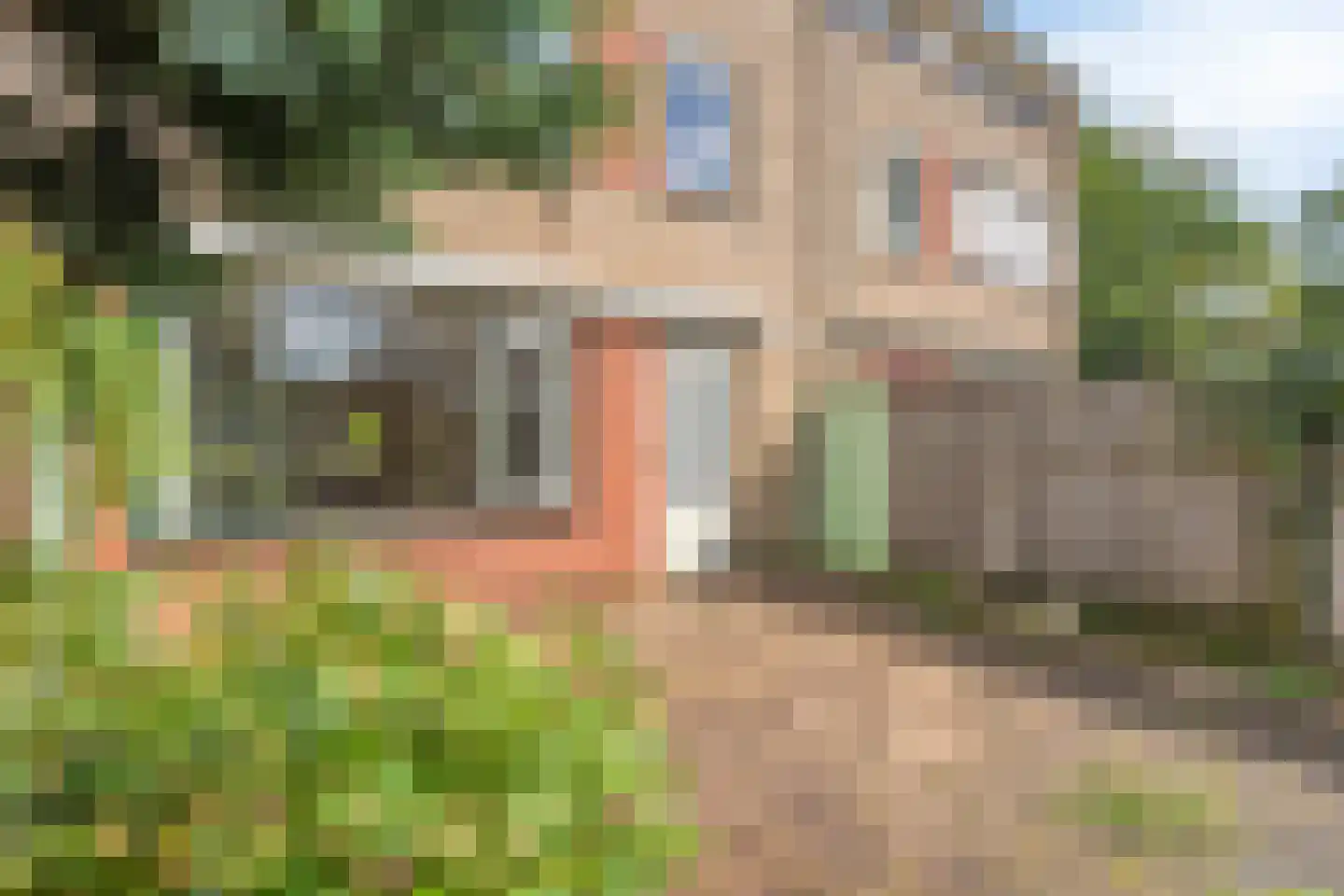 Schubertstraat 4 Almelo thumbnail 36