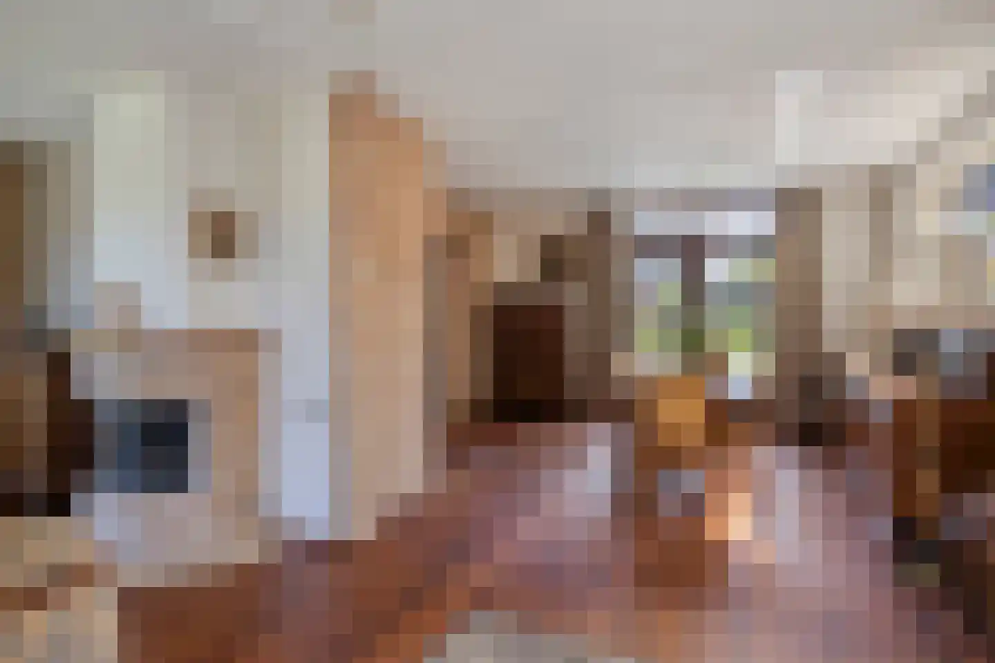 Schubertstraat 4 Elst thumbnail 17