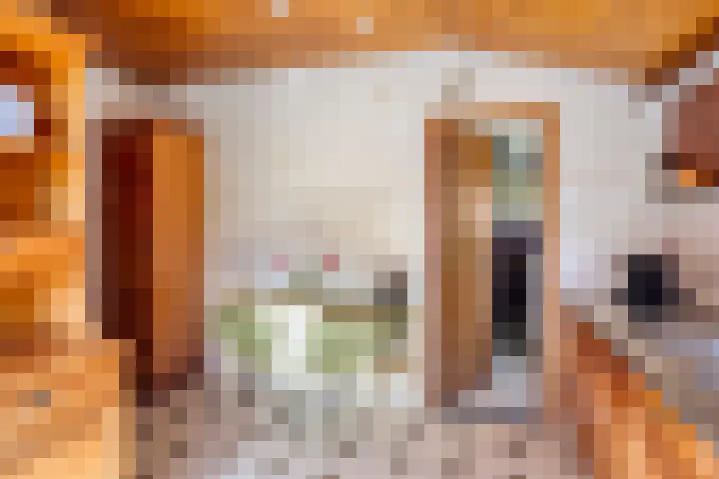 Schubertstraat 4 Elst thumbnail 23