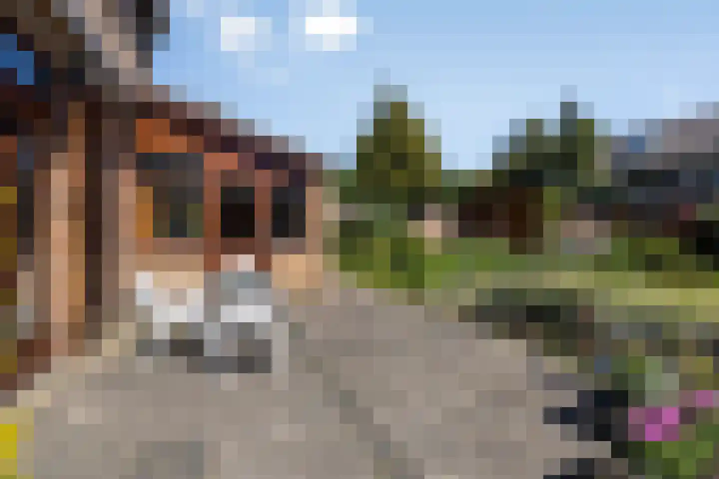 Schubertstraat 4 Elst thumbnail 43