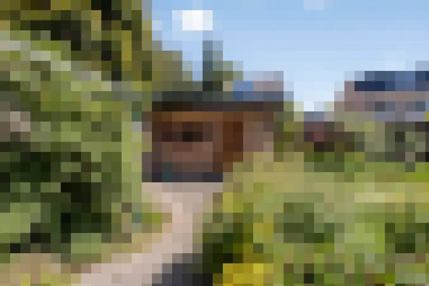 Schubertstraat 4 Elst thumbnail 46