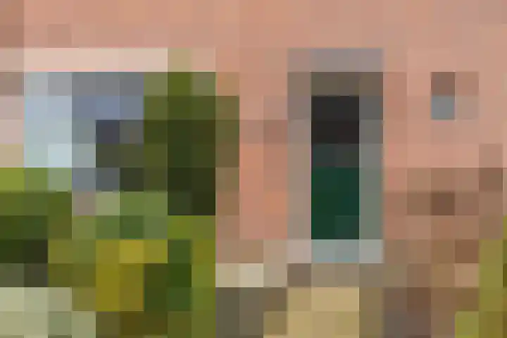 Schubertstraat 5 Lichtenvoorde thumbnail 5