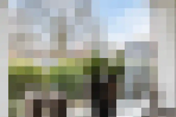 Schubertstraat 5 Lichtenvoorde thumbnail 7
