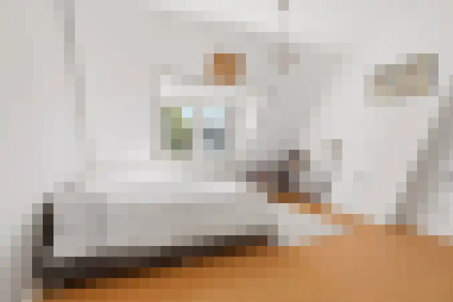 Schubertstraat 64 Amsterdam thumbnail 41