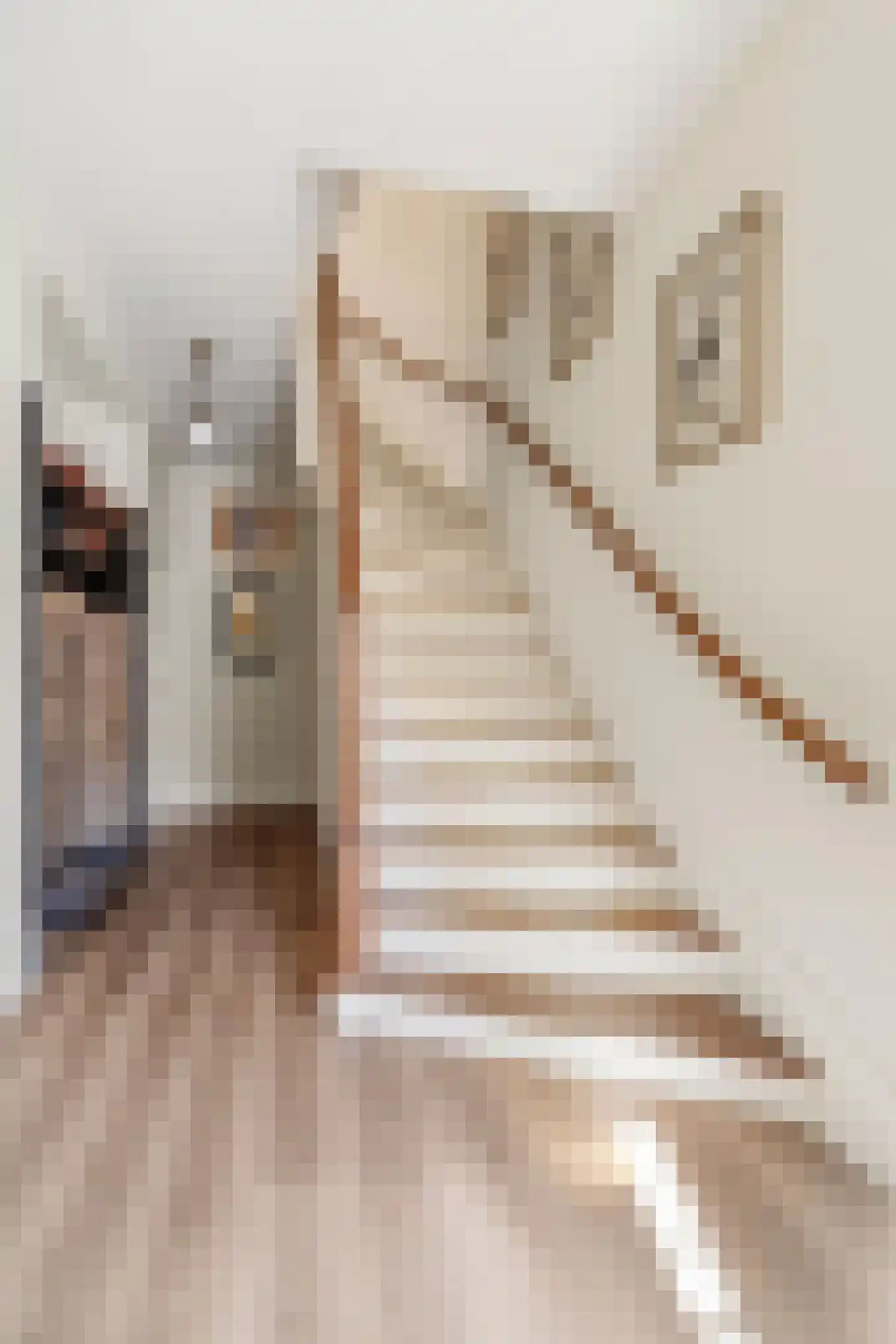 Schubertstraat 64 Amsterdam thumbnail 6